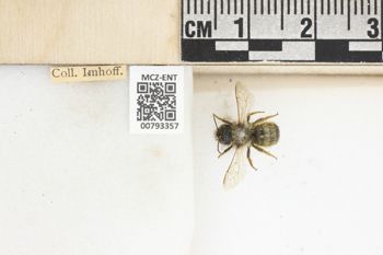 Media type: image;   Entomology 793357 Aspect: Labels
